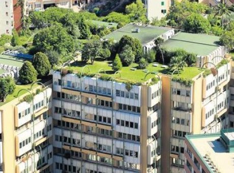 T&uuml;rkiye&rsquo;nin Enerji Verimli Bina İhtiyacı: Yatırımcılar D&uuml;ş&uuml;k Karbonlu Yapılara Y&ouml;neliyor