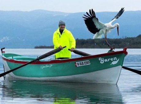 Yaren Leylek&rsquo;in Yavruları Yumurtadan &Ccedil;ıktı: Doğanın Harikası Yeniden Hayata D&ouml;n&uuml;yor!