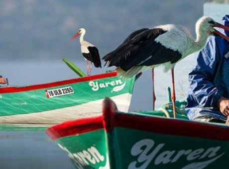 5 Yıl Sonra Gelen B&uuml;y&uuml;l&uuml; Karşılaşma: Yaren ve Nazlı&rsquo;nın Hikayesi