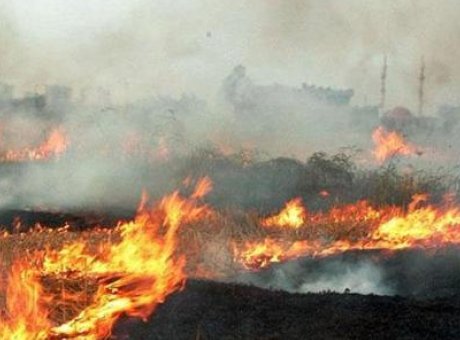 Alevlerin Ortasında Kalan Yaşlı Kadın: Yangın Faciası Detayları Ortaya &Ccedil;ıktı