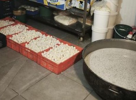 Başkentte Şok Denetim: 9 Ton Bozuk S&uuml;t &Uuml;r&uuml;n&uuml; Ele Ge&ccedil;irildi!