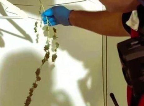 Denizli’de Şaşkınlık Yaratan Uyuşturucu Operasyonu: Baro Başkanı ve 11 Avukat G&ouml;zaltında!