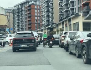 İstanbul’da Şok Eden Anlar: Motosiklete Bağlı K&ouml;peğin Koşuşu Kamerada!