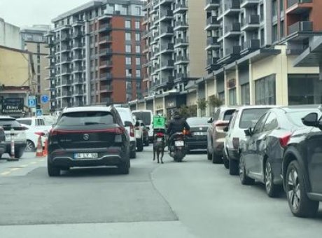 İstanbul’da Şok Eden Anlar: Motosiklete Bağlı K&ouml;peğin Koşuşu Kamerada!