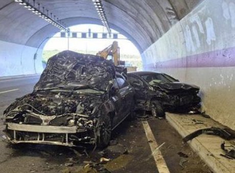 İstanbul’da T&uuml;nel Faciası: 10 İnek Telef Oldu, Bir Yaralı