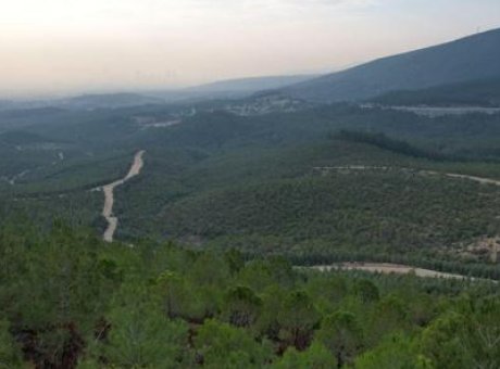 İzmir’de Yangın Riskine Karşı Radikal &Ouml;nlem: Ormanlara 5 Ay Giriş Yasağı