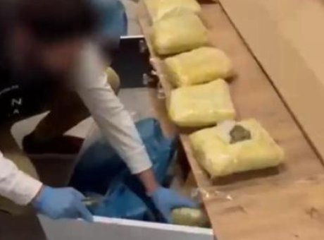 Kargo Kutusundaki Şok: TV &Uuml;nitesinde 7 Kilogram Skunk Ele Ge&ccedil;irildi