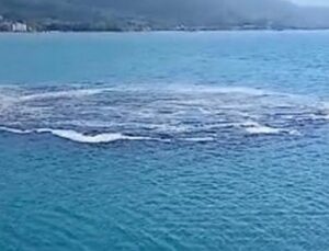 Kastamonu’da Denizdeki Gizemli Olay: Balık&ccedil;ılar Panik İ&ccedil;inde!