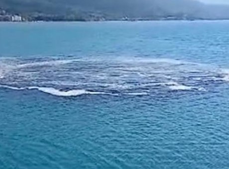 Kastamonu’da Denizdeki Gizemli Olay: Balık&ccedil;ılar Panik İ&ccedil;inde!