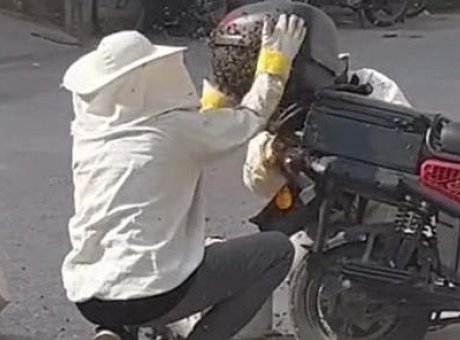 Krali&ccedil;e Arı Park Halindeki Motosikletin &Uuml;zerini Kapladı: Şok Anlar İneg&ouml;l’de Yaşandı!