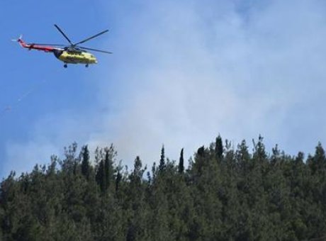 Manisa&rsquo;da Orman Yangını: Ekipler Hızla M&uuml;dahale Etti!