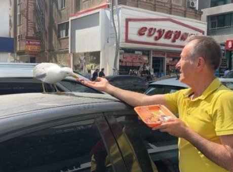 Martı Pamuk: Gebze’deki D&uuml;kkanın Sevilen Maskotu Haline Geldi!