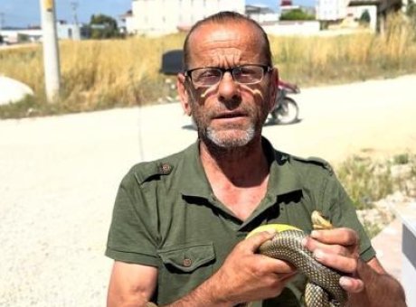Sakarya&rsquo;nın Yılan Kahramanı: &Ccedil;ıplak Ellerle Tehlikeyi Yok Eden Adam