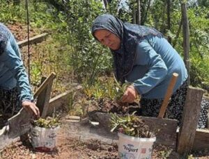 Sosyal Medya İlhamıyla Girişimci Oldu: Salep Orkidesi Yetiştiriyor!