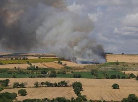 Tekirdağ’da Korkun&ccedil; Yangın: 100 Dekar Buğday Tarlası Alevlere Teslim Oldu!