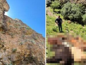 Yabani Hayvan Saldırısı: 26 Buzağı Kayalıklardan D&uuml;şt&uuml;, &Ccedil;ift&ccedil;i Şokta