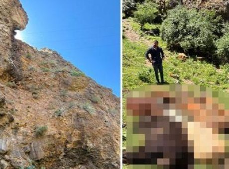 Yabani Hayvan Saldırısı: 26 Buzağı Kayalıklardan D&uuml;şt&uuml;, &Ccedil;ift&ccedil;i Şokta