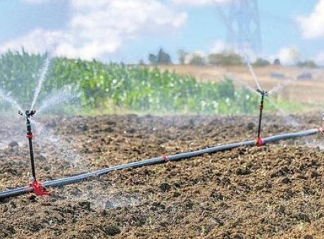 32 &Uuml;lke İş Birliğiyle Tarımda Devrim Niteliğinde S&uuml;rd&uuml;r&uuml;lebilir Proje Başlatılıyor!