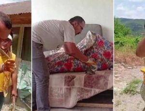 Amasya’da Yılan Panik Yaratırken, Kahraman Gen&ccedil; Farklı Bir Y&ouml;ntemle Yakalandı!