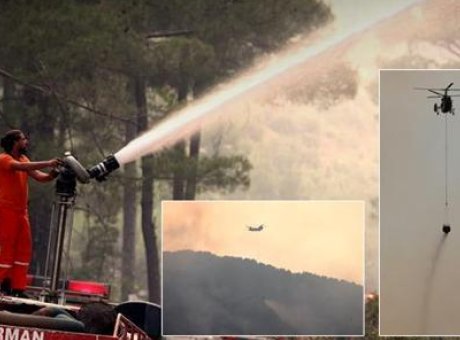 Antalya’da Orman Yangını: 70’ten Fazla Ekip Alevlerle M&uuml;cadele Ediyor
