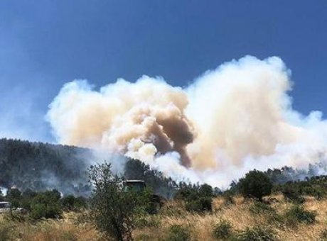 Balıkesir’de Orman Yangını: Alevlerin Hızla Yayılması Korkuttu!