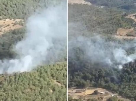 Balıkesir&rsquo;deki Orman Yangını: Hızlı M&uuml;dahale ile Kontrol Altına Alındı