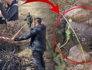 Erzurum’da ‘Kara Elmas’ Avı: Tr&uuml;f Mantarında 30 Milyon TL’lik Hazine Keşfedildi!