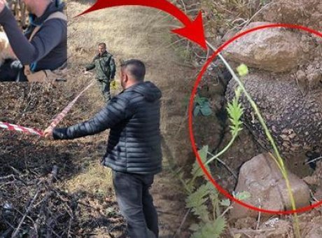 Erzurum’da ‘Kara Elmas’ Avı: Tr&uuml;f Mantarında 30 Milyon TL’lik Hazine Keşfedildi!