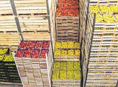 Haziran Ayında Market Fiyatları Şok Y&uuml;kselişlerle G&uuml;ndemde!