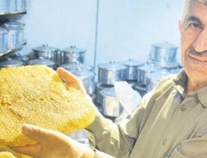 Hizan Kara Kovan Balı: Avrupa’nın Sofralarına Taşınıyor!