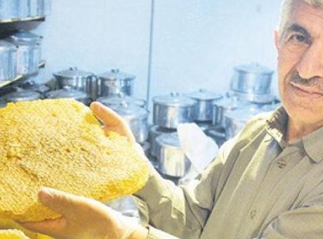 Hizan Kara Kovan Balı: Avrupa'nın Sofralarına Taşınıyor!