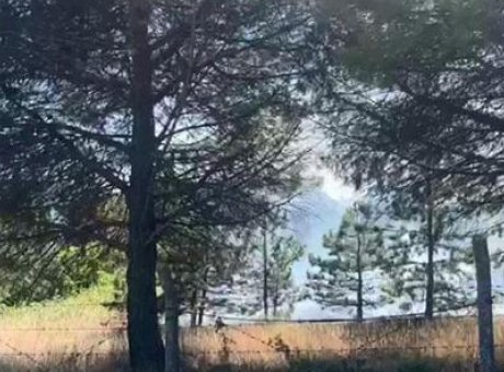 İstanbul’da Yangın Alarmı: Ormanlık Alan tehlikede!