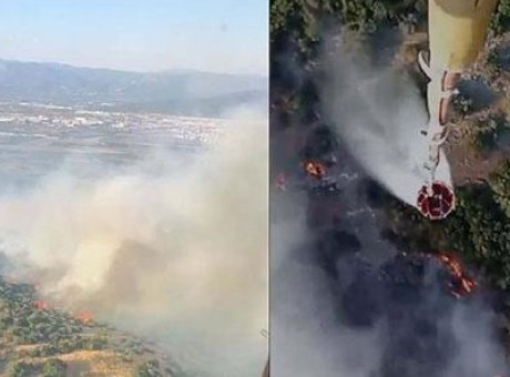İzmir Ormanlarında Korkutan Yangın: Hava ve Kara Ekipleri Seferber Oldu!