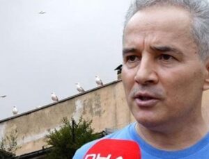 Karadeniz’de Kuşların Savaşı: Martılar Şehirlerde Neden Korkutucu Bir Tehlike Oluşturuyor?
