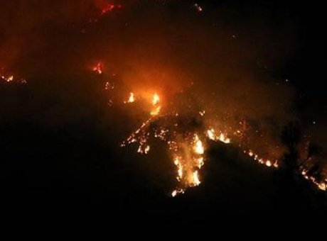 Kaş’taki Orman Yangını: Ekipler Gece Boyu M&uuml;cadele Ediyor!