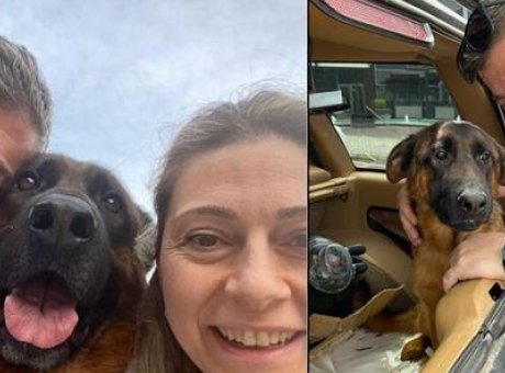 Kayıp K&ouml;pek İ&ccedil;in Şok &Ouml;d&uuml;l: 100 Bin Lira Aranıyor!