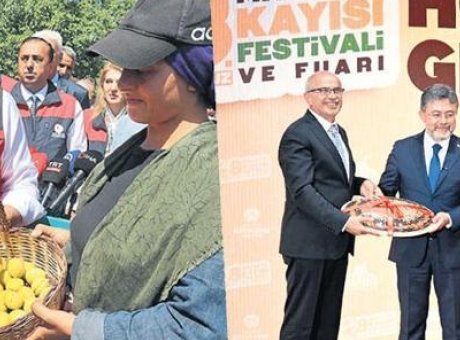 Malatya’nın Kayısı Hasadı Ş&ouml;lenle Başladı: 19 Milyar Lira Ekonomi Katkısı!