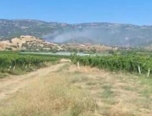 Manisa’daki Orman Yangınında Hızla Kontrol Altına Alma Başarısı