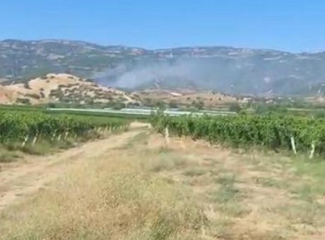 Manisa’daki Orman Yangınında Hızla Kontrol Altına Alma Başarısı