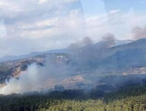 Muğla&rsquo;da Yangın Alarmı: Tarım Arazisinden Ormana Sı&ccedil;rayan Alevler Neden Endişe Yarattı?