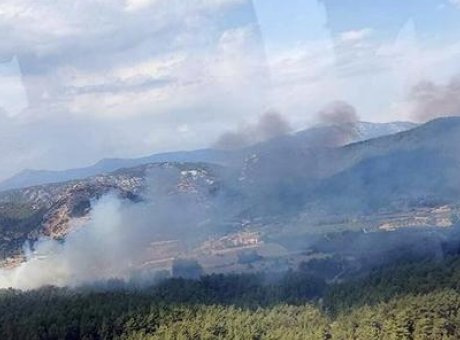 Muğla&rsquo;da Yangın Alarmı: Tarım Arazisinden Ormana Sı&ccedil;rayan Alevler Neden Endişe Yarattı?