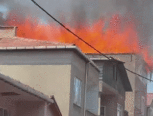 Pendik’te &Ccedil;atı Yangını: 1 İş&ccedil;i Yaralandı, Bina Kullanılamaz Hale Geldi