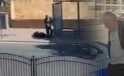 Şanlıurfa’da Boşanma Krizi: Eşine Ateş Eden Adam Polise Teslim Oldu