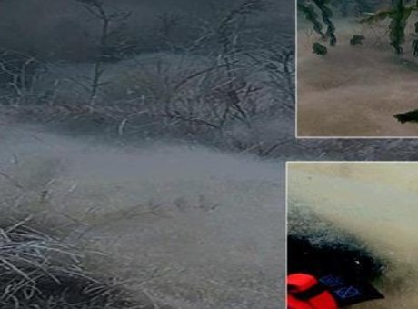 Sapanca G&ouml;l&uuml;’nde Şok Eden Bulgu: İ&ccedil;me Suyunu Tehdit Ediyor Mu?