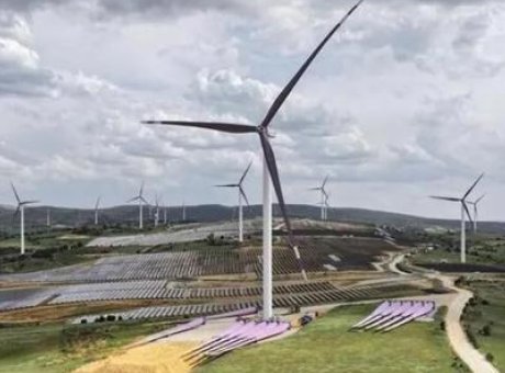 Tarım ve Enerji Bir Arada: T&uuml;rkiye'de &Ccedil;ığır A&ccedil;an Yeni Model