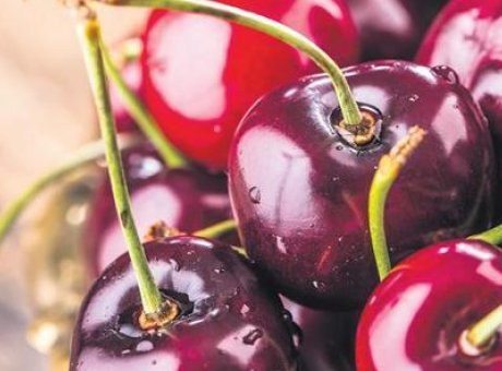 T&uuml;rk Meyve Sebze İhracatında Tarihi Zirve: 700 Milyon Dolar Farkıyla Rekor!