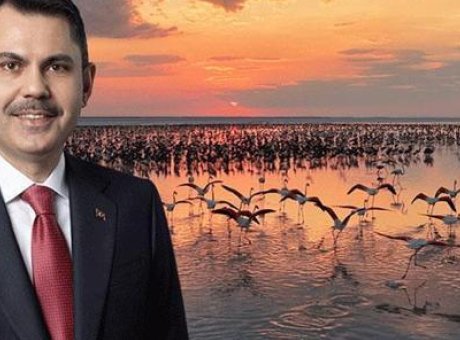 Tuz G&ouml;l&uuml;&rsquo;nde Flamingo Yavruları Rekor Kırdı: 5 Yılda Elde Edilen En Y&uuml;ksek Sayı!