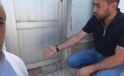 Yağmur Sonrası Doğa Olayı: Yavru Kurbağalar Şehrin Sokaklarını Sarmaladı!