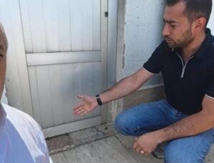 Yağmur Sonrası Doğa Olayı: Yavru Kurbağalar Şehrin Sokaklarını Sarmaladı!