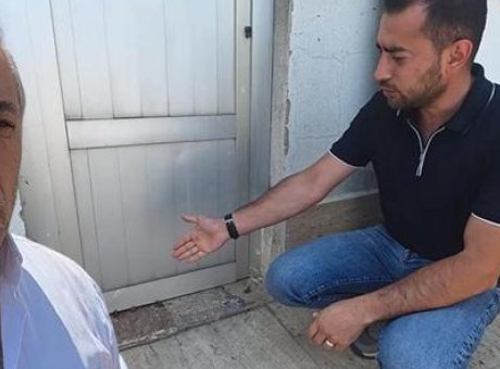 Yağmur Sonrası Doğa Olayı: Yavru Kurbağalar Şehrin Sokaklarını Sarmaladı!